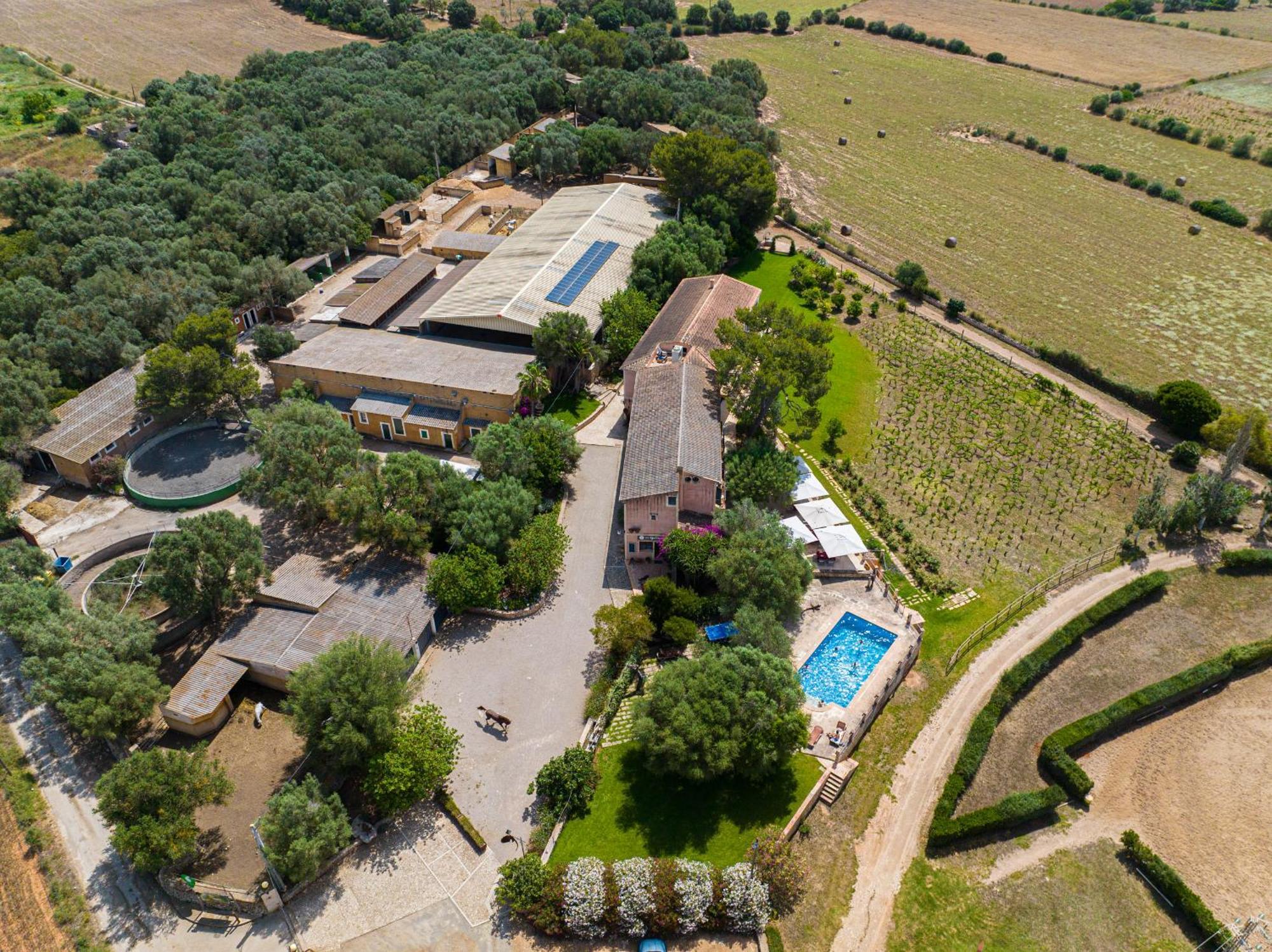 Finca Agroturismo Son Menut フェラニチ エクステリア 写真