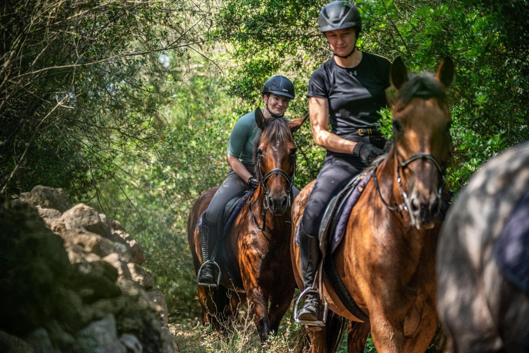 Finca Agroturismo Son Menut フェラニチ エクステリア 写真