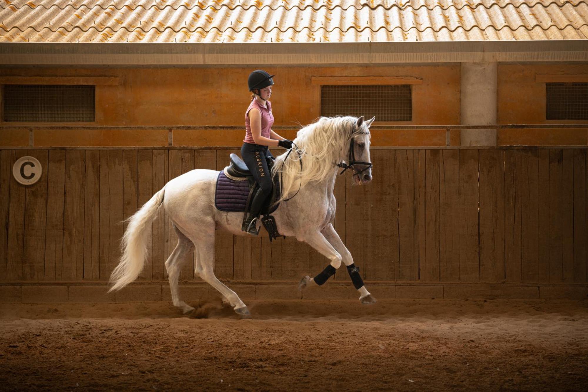 Finca Agroturismo Son Menut フェラニチ エクステリア 写真