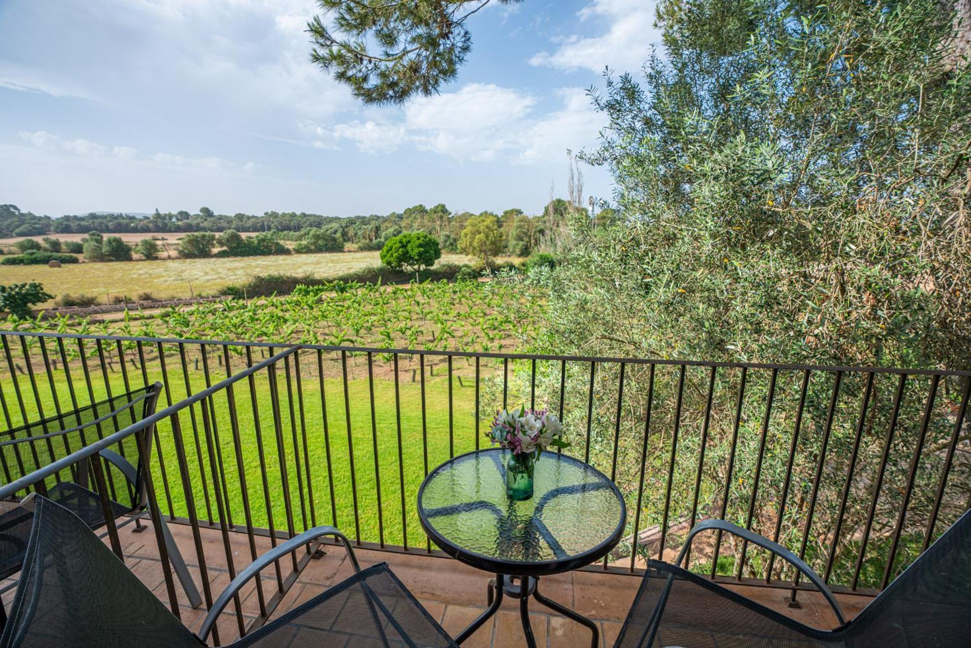 Finca Agroturismo Son Menut フェラニチ エクステリア 写真
