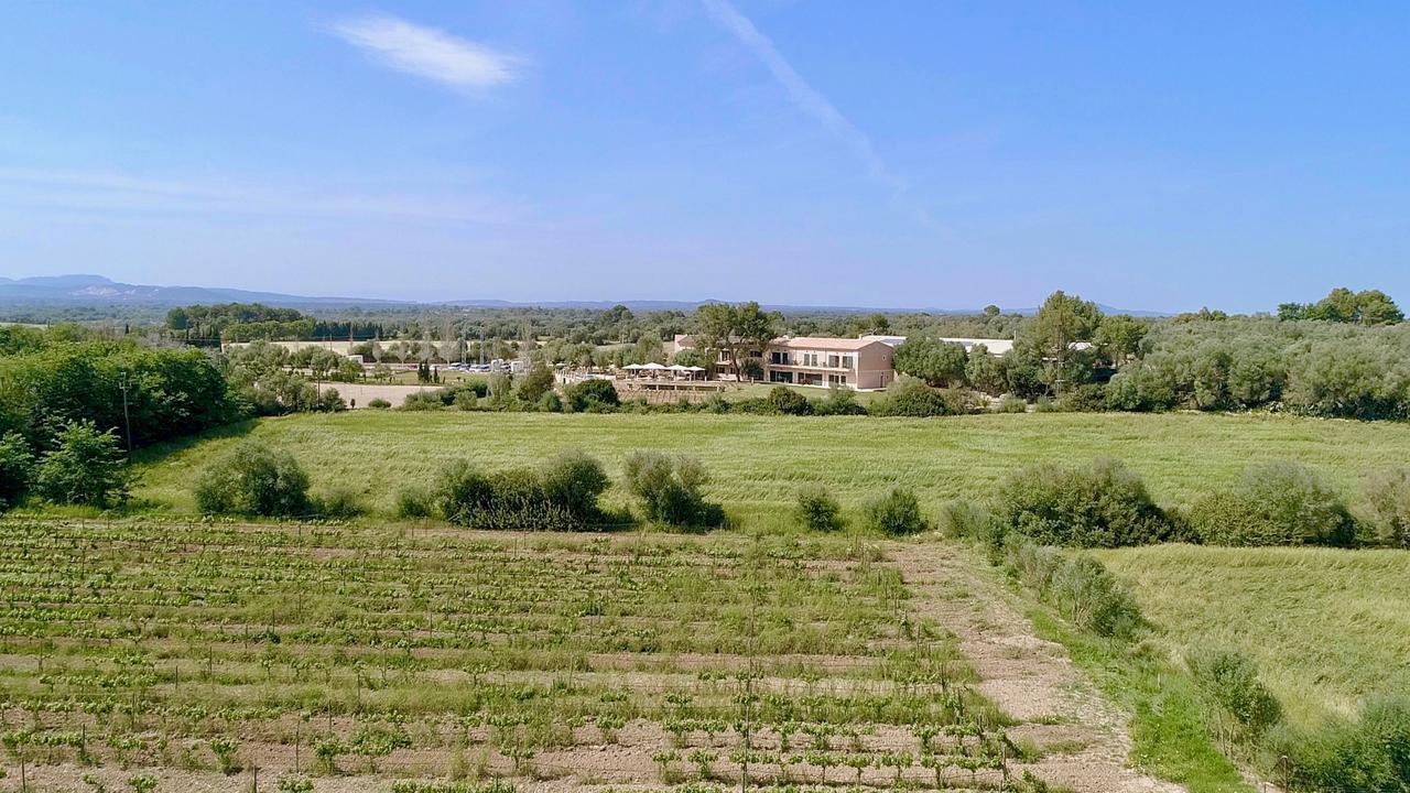 Finca Agroturismo Son Menut フェラニチ エクステリア 写真
