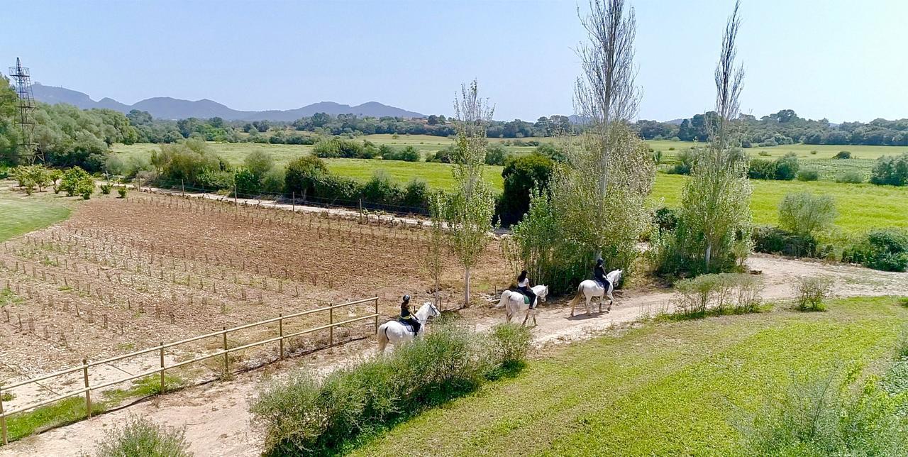 Finca Agroturismo Son Menut フェラニチ エクステリア 写真